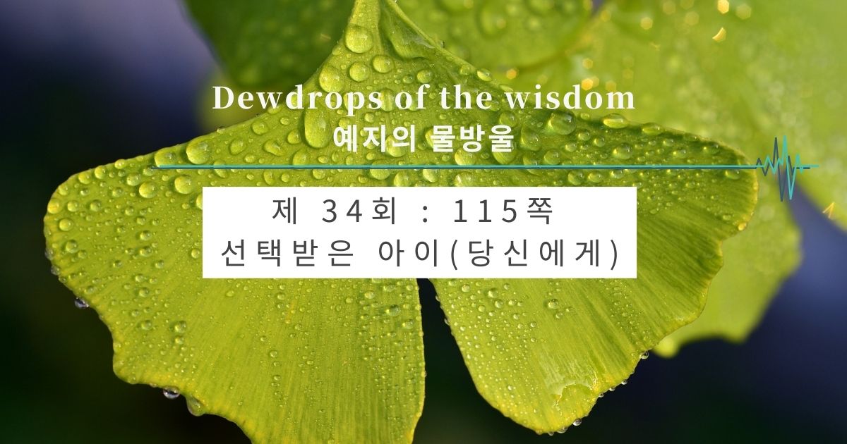 제34회 : 115쪽 < 선택받은 아이(당신에게) >